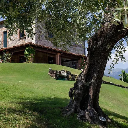 Ca Del Vento Amazing 10 Pax W/ Infinity Pool Tatil Evi *